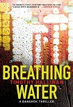 Читать книгу Breathing Water: A Bangkok Thriller