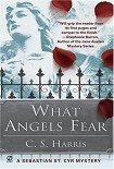 Читать книгу What Angels Fear