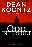Читать книгу Odd Interlude