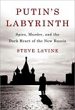 Читать книгу Putin's Labyrinth
