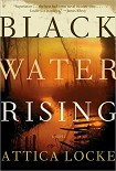 Читать книгу Black Water Rising