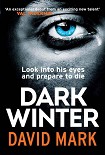Читать книгу The Dark Winter
