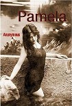 Читать книгу Pamela
