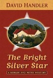 Читать книгу The Bright Silver Star