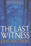 Читать книгу The Last Witness