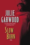 Читать книгу Slow Burn