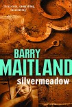 Читать книгу Silvermeadow