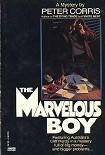 Читать книгу The Marvellous Boy