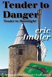 Читать книгу Tender to Danger
