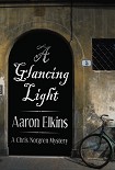 Читать книгу A Glancing Light