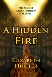 Читать книгу A Hidden Fire