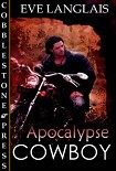 Читать книгу Apocalypse Cowboy