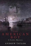 Читать книгу The American Boy