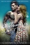 Читать книгу Welcome to Sugartown