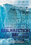 Читать книгу Resurrection Bay