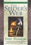 Читать книгу The Spider's Web