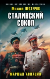 Читать книгу Сталинский сокол. Маршал авиации