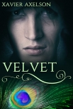 Читать книгу Velvet