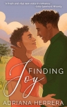Читать книгу Finding Joy: A Gay Romance