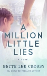 Читать книгу A Million Little Lies
