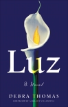 Читать книгу Luz