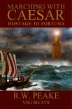 Читать книгу Hostage to Fortuna