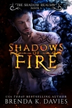 Читать книгу Shadows of Fire (The Shadow Realms, Book 1)