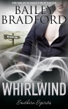 Читать книгу Whirlwind