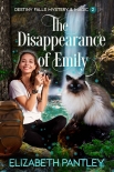 Читать книгу The Disappearance of Emily: Destiny Falls Mystery & Magic Series Book 2