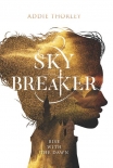 Читать книгу Sky Breaker (Night Spinner Duology)