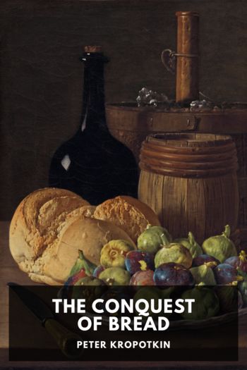 Читать книгу The Conquest of Bread