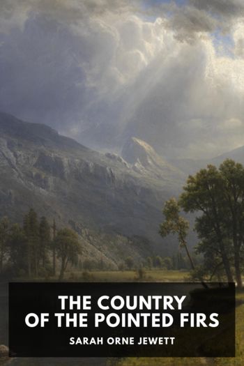 Читать книгу The Country of the Pointed Firs