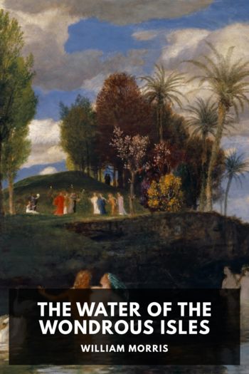 Читать книгу The Water of the Wondrous Isles