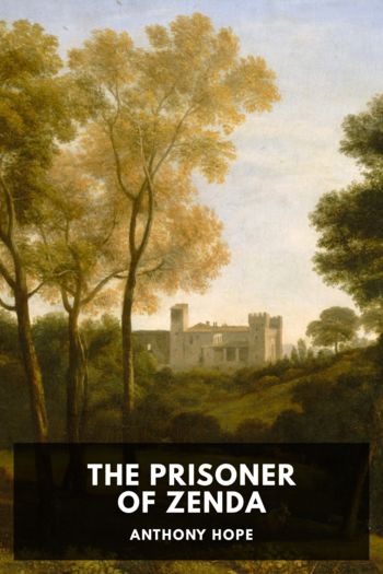 Читать книгу The Prisoner of Zenda