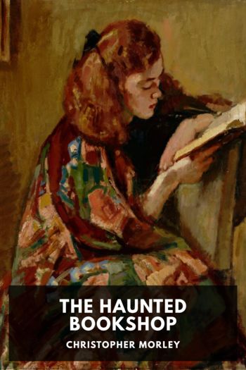Читать книгу The Haunted Bookshop