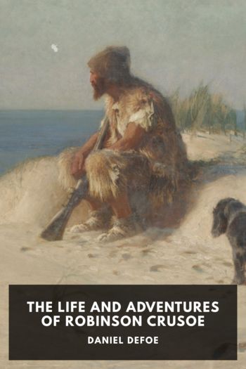 Читать книгу The Life and Adventures of Robinson Crusoe