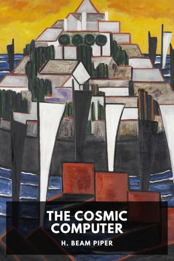 Читать книгу The Cosmic Computer