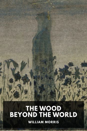 Читать книгу The Wood Beyond the World