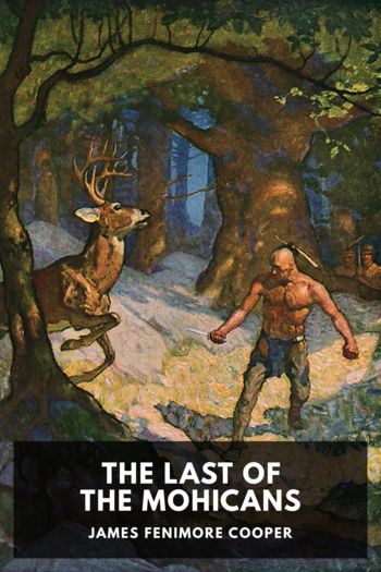 Читать книгу The Last of the Mohicans