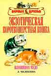 Читать книгу Экзотическая короткошерстная кошка