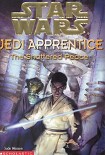 Читать книгу Jedi Apprentice 10: The Shattered Peace