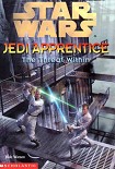 Читать книгу Jedi Apprentice 18: The Threat Within