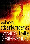 Читать книгу When Darkness Falls