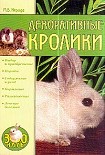 Читать книгу Декоративные кролики