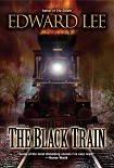 Читать книгу The Black Train