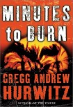 Читать книгу Minutes to Burn