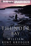 Читать книгу Thunder Bay