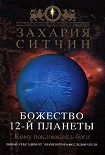 Читать книгу Божество 12-й планеты