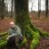 Петер Вольлебен «Тайная жизнь деревьев» читать онлайн