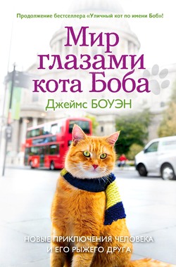 Читать книгу Мир глазами кота Боба